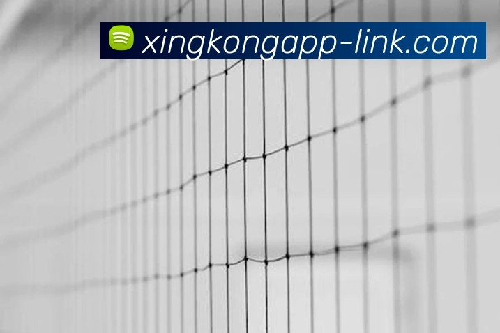 星空体育app官网 | 专注足球、篮球及电竞赛事深度报道门户平台生态图